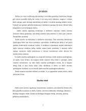 Darbo sutartis, jos rūšys 2 puslapis