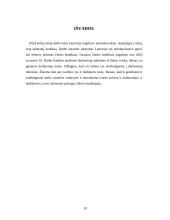 Darbo sutartis, jos rūšys 10 puslapis