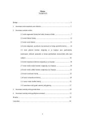 Autoriaus turtinės teisės 2 puslapis