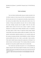 Autoriaus turtinės teisės 13 puslapis