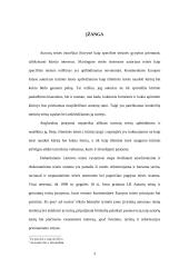 Autoriaus turtinės teisės 3 puslapis