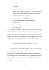 Autoriaus turtinės teisės 7 puslapis