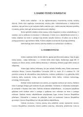 Darbo teisės sąvoka, principai, metodai 10 puslapis