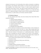Baudžiamosios teisės bruožai ir nusikaltimų sąvokos pagal Lietuvos Didžiosios Kunigaikštystės (LDK) statutus 13 puslapis