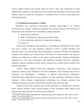 Baudžiamosios teisės bruožai ir nusikaltimų sąvokos pagal Lietuvos Didžiosios Kunigaikštystės (LDK) statutus 15 puslapis