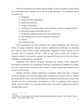 Baudžiamosios teisės bruožai ir nusikaltimų sąvokos pagal Lietuvos Didžiosios Kunigaikštystės (LDK) statutus 17 puslapis