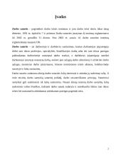 Darbo teisė, darbo sutartys 2 puslapis