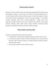 Darbo teisė, darbo sutartys 13 puslapis