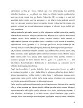 Darbo teisė, darbo sutartys 4 puslapis