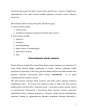 Darbo teisė, darbo sutartys 5 puslapis