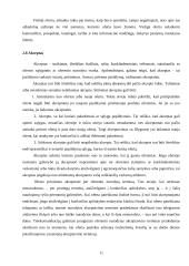 Bendrieji sutarčių civilinėje teisėje nuostatai 11 puslapis