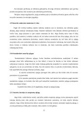 Bendrieji sutarčių civilinėje teisėje nuostatai 12 puslapis