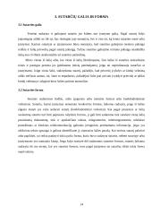 Bendrieji sutarčių civilinėje teisėje nuostatai 14 puslapis