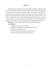 Bendrieji sutarčių civilinėje teisėje nuostatai 4 puslapis