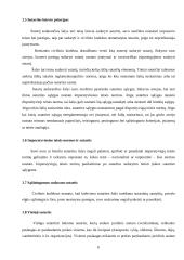 Bendrieji sutarčių civilinėje teisėje nuostatai 6 puslapis