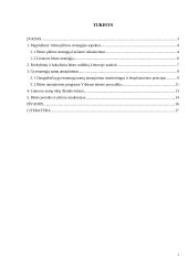 Būsto reikšmė darniam miestų vystymui 2 puslapis