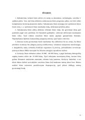 Būsto reikšmė darniam miestų vystymui 16 puslapis