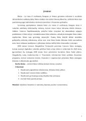 Būsto reikšmė darniam miestų vystymui 3 puslapis