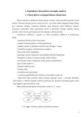 Būsto reikšmė darniam miestų vystymui 4 puslapis