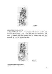 Cukrinis diabetas. Diabetinė pėda 12 puslapis