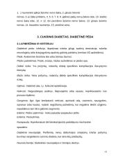 Cukrinis diabetas. Diabetinė pėda 13 puslapis
