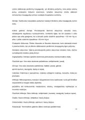 Cukrinis diabetas. Diabetinė pėda 14 puslapis