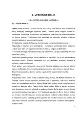 Cukrinis diabetas. Diabetinė pėda 5 puslapis