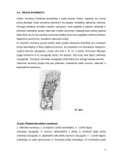Cukrinis diabetas. Diabetinė pėda 8 puslapis