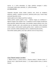 Cukrinis diabetas. Diabetinė pėda 9 puslapis