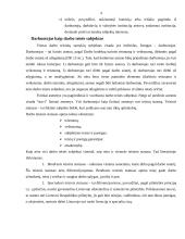 Darbo teisės subjektai 4 puslapis