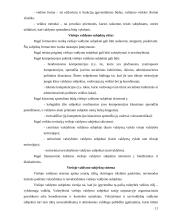 Darbo teisės reguliuojamų santykių dalyviai 11 puslapis