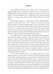 Darbo užmokesčio apskaitos kompiuterizavimas 2 puslapis