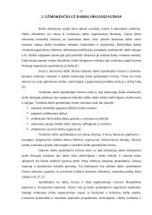 Darbo užmokesčio apskaitos kompiuterizavimas 4 puslapis