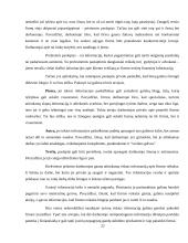 Darbuotojų teisės ir pareigos 20 puslapis