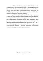 Didieji Lietuvos kalbininkai 20 puslapis