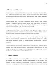 Dinaminis modeliavimas su PowerSim Studio 2005 17 puslapis