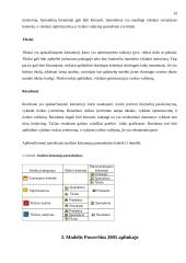 Dinaminis modeliavimas su PowerSim Studio 2005 19 puslapis