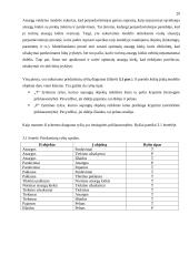 Dinaminis modeliavimas su PowerSim Studio 2005 20 puslapis