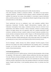 Dinaminis modeliavimas su PowerSim Studio 2005 3 puslapis