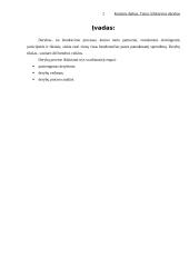 Efektyvios derybos 2 puslapis