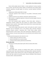 Efektyvios derybos 11 puslapis