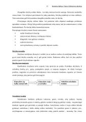 Efektyvios derybos 12 puslapis