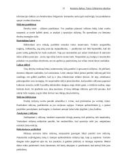 Efektyvios derybos 13 puslapis