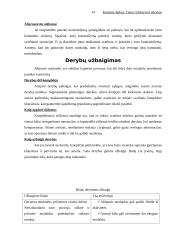 Efektyvios derybos 14 puslapis