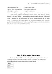 Efektyvios derybos 18 puslapis