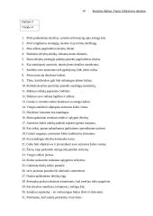 Efektyvios derybos 19 puslapis