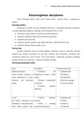 Efektyvios derybos 3 puslapis