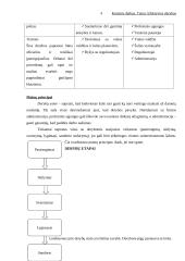 Efektyvios derybos 4 puslapis