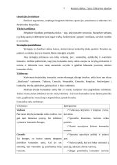 Efektyvios derybos 7 puslapis