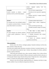 Efektyvios derybos 8 puslapis